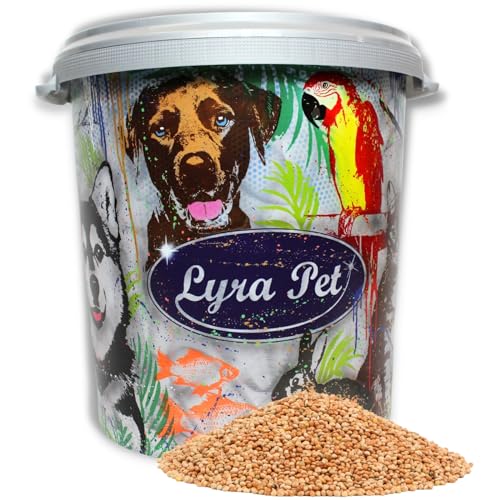 Lyra Pet® | 10 kg Hirse weiß gelb lose + 30 L Tonne | Vogelfutter für Sittiche, Kanarien & Wildvögel | Wildvogelfutter Ganzjährig | Ideal für Futtermischungen | Kohlenhydratreicher Energielieferant von Lyra Pet