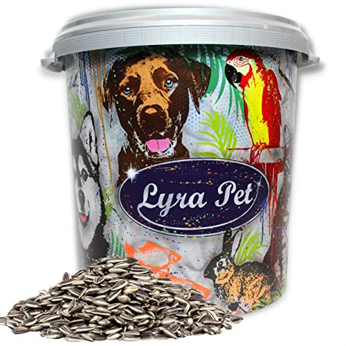 Lyra Pet® | 10 kg Sonnenblumenkerne Gestreift + 30 L Tonne | Neue Ernte | Ganzjahres Vogelfutter für Wildvögel l Harte Schalen | Optimale Energie & Nährstoffe | Ideal für Vogelhäuser von Lyra Pet