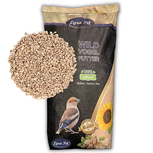 Lyra Pet® | 10 kg Sonnenblumenkerne Geschält Bruch | Neue Ernte | Für Kleine Wildvögel & Jungtiere | Ganzjahres Vogelfutter | Schalenfreier Energielieferant | Ideal für Balkon & Terrasse von Lyra Pet