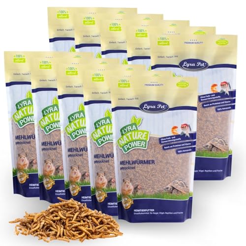 Lyra Pet® | 10 x 1 kg Mehlwürmer getrocknet | Proteinreiches Vogelfutter | Für Wildvögel, Nager, Reptilien & Fische | Nahrhaftes Futter | Energiespender für Insektenfresser | Vitamine & Mineralstoffe von Lyra Pet