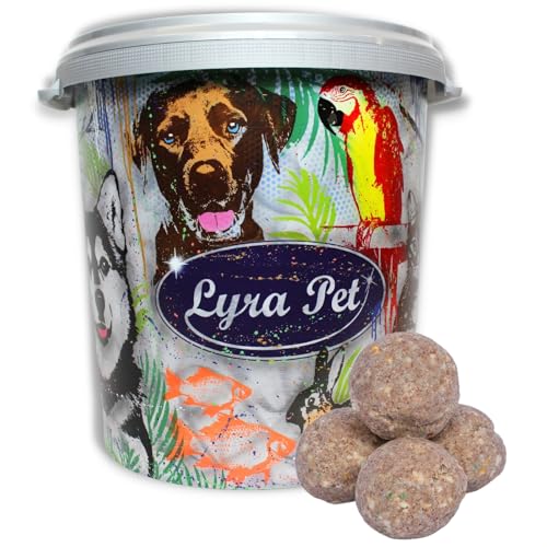 Lyra Pet® | 100 Gourmet Meisenknödel schalenfrei ohne Netz à 80 g in 30 L Tonne | Energiespender für Wildvögel | Wildvogelfutter Ohne Schalen | Kraftspendendes Fettfutter | Vogelfutter Ganzjährig von Lyra Pet