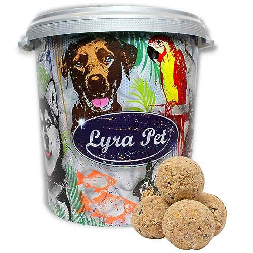 Lyra Pet® | 100 Meisenknödel ohne Netz à 90 g = 9 kg in 30 L Tonne | Vogelfutter für das Ganze Jahr | Energielieferant für Wildvögel | Wildvogelfutter | Fetthaltig & Nährstoffreich | Für Futterschalen von Lyra Pet