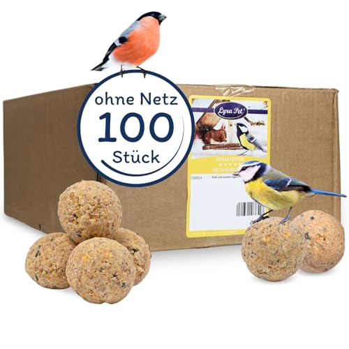 Lyra Pet® | 100 Meisenknödel ohne Netz à 90 g = 9 kg | Vogelfutter für das Ganze Jahr | Energielieferant für Wildvögel | Mineralstoffreiches Wildvogelfutter | Fetthaltig & Nährstoffreich von Lyra Pet