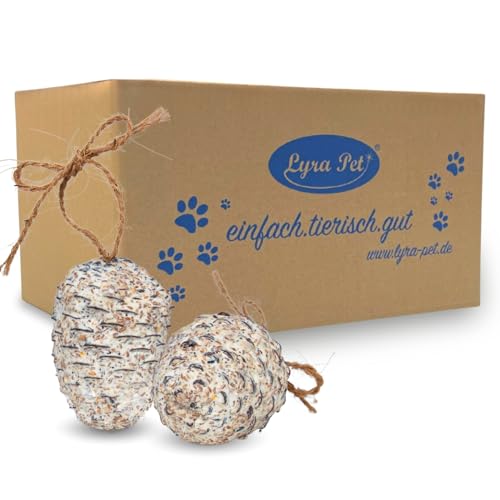 Lyra Pet® | 2 x 4 STK. Riesenzapfen | Pinienzapfen mit Fettfutter gefüllt | Nahrhaftes Vogelfutter im Sommer & Winter | Wertvoller Energielieferant für Wildvögel | Fettreich & Biologisch Abbaubar von Lyra Pet