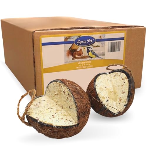 Lyra Pet® | 2 x 4 Ganze Kokosnüsse mit V-Cut Gefüllt | Energiereiches Vogelfutter | Kokosnuss mit fetthaltiger Füllung | Ganzjahres Fettfutter | Wie Meisenknödel | Nährstoffreiches Wildvogelfutter von Lyra Pet