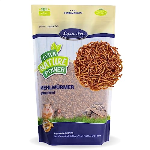 Lyra Pet® | 2 x 5 kg Mehlwürmer | Ideal für Nager | Schonend Getrocknet | Proteinreiches Futter für Hamster, Ratten & Rennmäuse | Reich an Vitaminen & Mineralstoffen | Natürlicher Energiespender von Lyra Pet