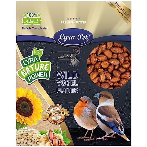 Lyra Pet® | 20 kg Erdnusskerne mit Haut | Wildvogelfutter Ganzjährig | Ballasttoffreiches Vogelfutter | Erdnüsse für Wildvögel | Energie durch Hohen Fettanteil | Ideal für Tauben & Größere Vögel von Lyra Pet