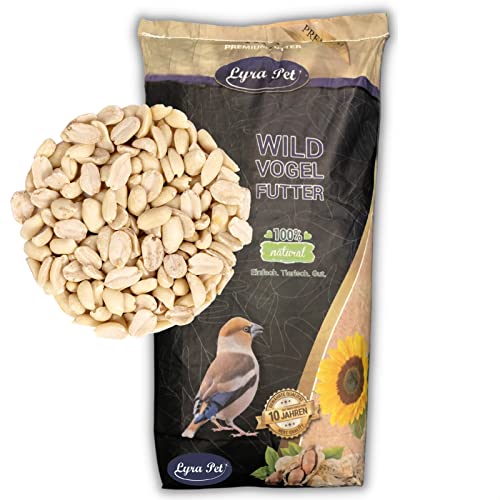 Lyra Pet® | 20 kg Erdnusskerne Splits | Neue Ernte | Ganzjahres Vogelfutter für Wildvögel | Reich an Proteinen & Nährstoffen | Schalenfreie, Geteilte Erdnüsse | Auch Ideal für Balkon & Terrasse von Lyra Pet