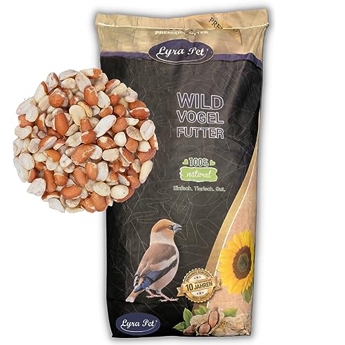 Lyra Pet® | 20 kg Erdnusskerne Splits Blanchiert & mit Haut Gemischt | Neue Ernte | Ganzjahres Vogelfutter für Wildvögel | Reich an Ballaststoffen & Vitaminen | Fetthaltige Erdnüsse mit + ohne Haut von Lyra Pet