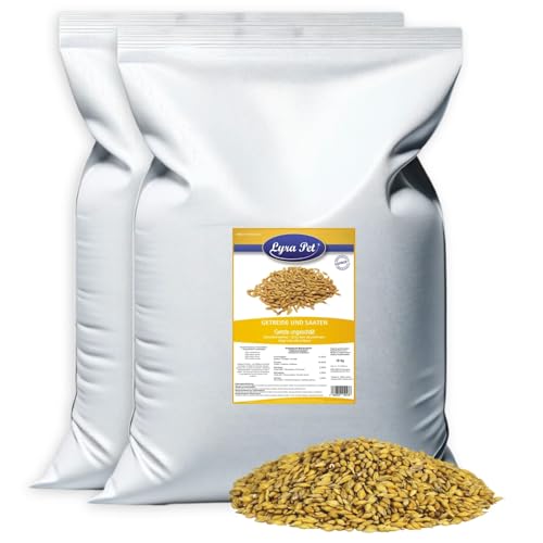 Lyra Pet® 20 kg Gerste ungeschält | Reich an Ballaststoffen & Proteinen | Ergänzungsfutter für Wildvögel & Kleinnager | Nährstoffreiches, Ganzjähriges Vogelfutter | Ideal als Zusatz für Streufutter von Lyra Pet