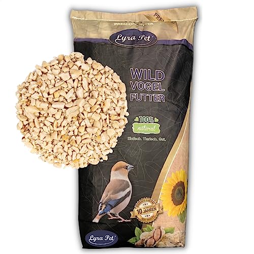 Lyra Pet® | 25 kg Erdnusskerne Weiß Gehackt | Neue Ernte | Ganzjahres Vogelfutter für Körnerfresser | Natürlich & Energiereich | Schalenfreie Erdnüsse | Fettreiches Wildvogelfutter | Für Kleine Vögel von Lyra Pet