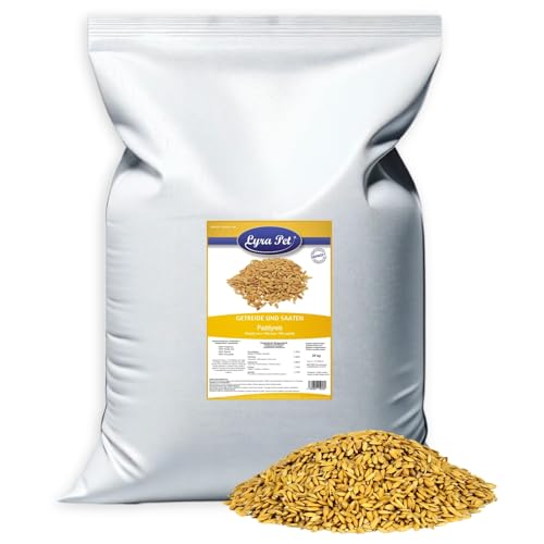 Lyra Pet® 25 kg Paddyreis | Reich an Ballaststoffen, Vitaminen & Mineralien | Ergänzungsfutter für Wildvögel & Kleinnager | Ungeschälter Reis | Nährstoffreiches Vogelfutter für Sommer & Winter von Lyra Pet