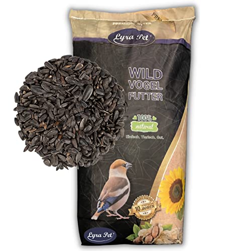 Lyra Pet® | 25 kg Sonnenblumenkerne Schwarz | Neue Ernte | Ganzjahres Vogelfutter für Wildvögel l Für Kleine Vögel & Jungtiere durch Dünnere Schale | Optimale Energie durch Hohen Ölanteil von Lyra Pet