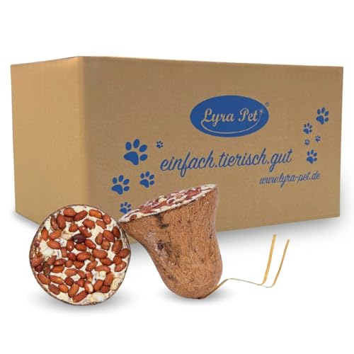 Lyra Pet® | 3 x 8 STK. Futterglocken mit Erdnüssen | Fettfutter Mischung mit Saaten & Erdnusskernen | Mineralstoffreiches & Fetthaltiges Vogelfutter | Glocke aus Biologisch Abbaubaren Kokosfasern von Lyra Pet