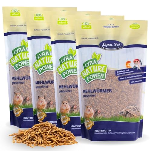 Lyra Pet® | 4 kg Mehlwürmer getrocknet | Proteinreiches Vogelfutter | Für Wildvögel, Nager, Reptilien & Fische | Nahrhaftes Futter | Energiespender für Insektenfresser | Vitamine & Mineralstoffe von Lyra Pet