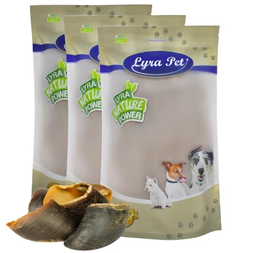 Lyra Pet® 45 STK. Rinderhufe je ca. 80 g | Naturbelassener Kausnack | Ideal für die Zahnpflege | Leckerli für Hunde | Gut verdaulicher Kauartikel | Proteinhaltiges fettarmes Hundefutter von Lyra Pet