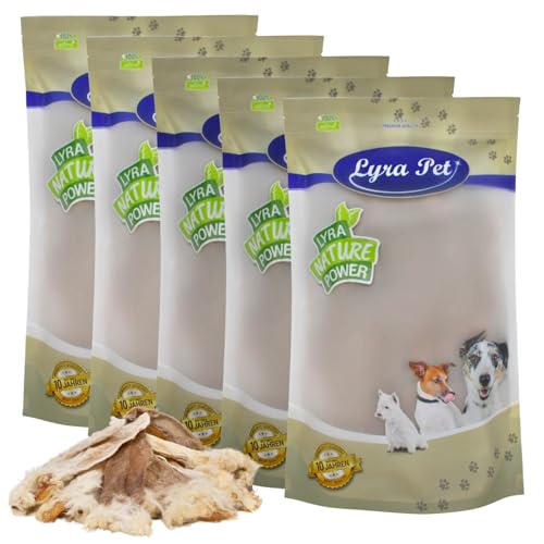 Lyra Pet® 5 kg Kaninchenohren mit Fell | Naturbelassener Kausnack | Proteinreiches Leckerli für Hunde | Gut verträglich & darmreinigend | Nährstoffreicher Kaugenuss | Schonend getrocknet von Lyra Pet