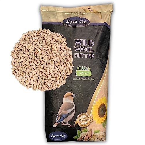 Lyra Pet® | 5 kg Sonnenblumenkerne Geschält | Neue Ernte 2022 | Ganzjahres Vogelfutter für Wildvögel l Für Kleine Vögel & Jungtiere | Schalenfreier Energielieferant | Ideal für Balkon & Terrasse von Lyra Pet