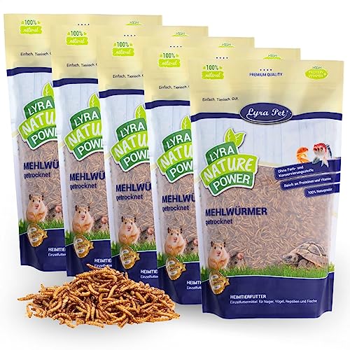 Lyra Pet® | 5 x 1 kg Mehlwürmer | Ideal für Nager | Schonend Getrocknet | Proteinreiches Futter für Hamster, Ratten & Rennmäuse | Reich an Vitaminen & Mineralstoffen | Natürlicher Energiespender von Lyra Pet