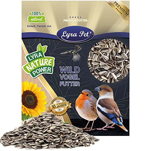 Lyra Pet® | 20 kg Sonnenblumenkerne Gestreift | Vogelfutter Ganzjährig | Premium Wildvogelfutter | Idealer Energiespender für Sommer und Winter | Fördert die Schnabelmuskulatur der Vögel von Lyra Pet