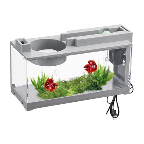 Fish Tank Aquarium - Beta Fish Tank, Decorative Retro Quiet Small Fish Tank with Air Pump | Transparent Fish Tank, Cube Tabletop Tank for Seaweed Balls Betta Fish Shrimp Goldfish von Lyricalist