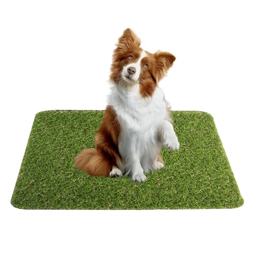 Hundegras großes Töpfchen – Kunstgras Pipi für Hunde | waschbare Grasmatte, Kunstrasenteppich Rasen für Haustiertraining und leicht zu reinigen | Indoor Outdoor Kunstrasen für Hunde von Lyricalist