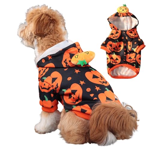 Pet Pumpkin Costume - Puppy Warm Outfits, Pumpkin Costumes for Dogs, Cat Pumpkin Suit | Stretchable Cute Outwear Coat Apparel Hoodie for Halloween Dress Up von Lyricalist