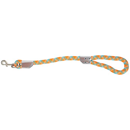 Hundeleine aus Nylon, für den täglichen Gebrauch im Freien, zum Spazierengehen, Laufen, Training, für kleine und mittelgroße Hunde, Orange, 120 cm (Größe: 2 x 55 cm) von M I A