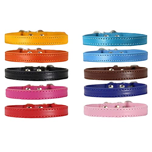 M I A 10 Stück PU Haustier Halsband Verstellbar Sicherheit Katze Hals Gürtel Haustier Halsriemen Hund Halskette Schmuck für Hund Welpe Party Ornamente Zufällige Farbe von M I A