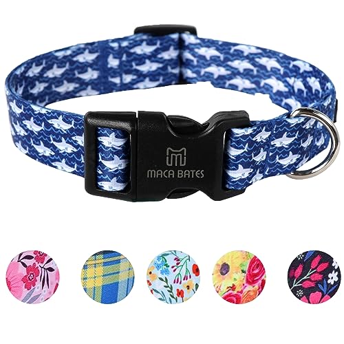 Maca Bates Designer-Hai-Hundehalsband, niedlich, Sommerblau, für Mädchen und Jungen, Herren, Para, Perros, Chihuahua, Pitbull, Geburtstagsgeschenk für kleine, mittelgroße und große Welpen von M MACA BATES