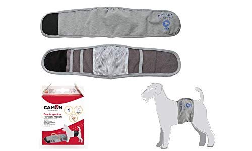 M-PETS Hygieneband für männliche Hunde Markierungen oder Inkontinente Größe L 56/60 cm c221/4 blau von M-PETS