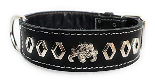 M&D Hundehalsband, Leder, 3,8 cm breit, dekoratives Design, Englisch/Britische Bulldogge, Größe M: 45,7 cm – 55,9 cm, Schwarz von M&D