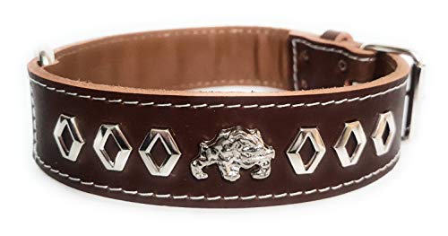 M&D Hundehalsband, Leder, 3,8 cm breit, mit dekorativem Design und Englisch/Britische Bulldogge, Größe M: 45,7 cm – 55,9 cm, Braun von M&D