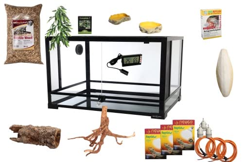 M&S Reptilien Komplettset: Für Leguane (182x61x91cm) Terrarium mit ReptiZoo Glas-Terrarium (ca.182x61x91cm) RK0231-S/RK0231-B von M&S Reptilien