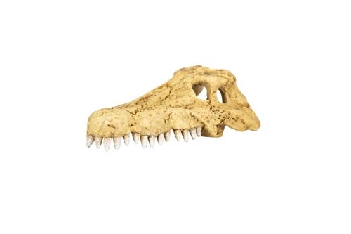M&S Reptilien ReptiZoo Krokodilschädel (Crocodile Skull Hide Cave) (ERS34) Größen L von M&S Reptilien