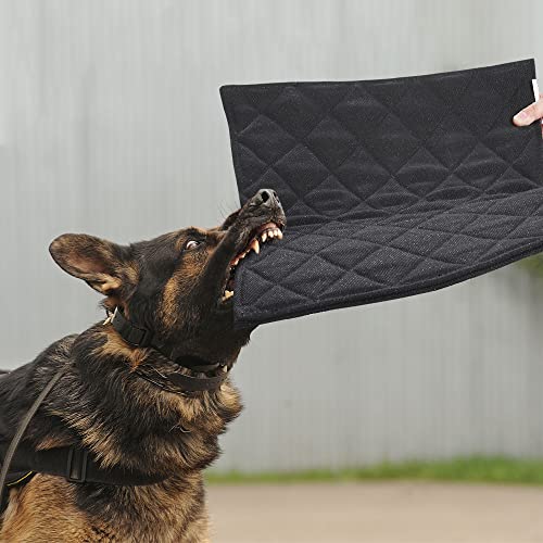 MABOZOO Unzerstörbare Hundebetten, kausichere Hundebox für aggressive Kauer, maschinenwaschbar, langlebige Hundebetten für kleine Hunde, schwarze Hundehütte (43.2x58.4 cm) von MABOZOO