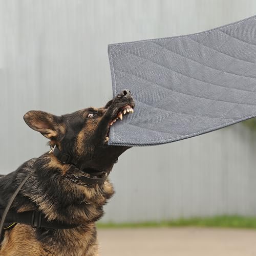 MABOZOO Unzerstörbare Hundebetten – kaufeste Kistenunterlage für aggressive Kauer, maschinenwaschbar, gesteppte Matte, langlebig für kleine Hunde, graue Hundehütte (43,2 x 58,4 cm) von MABOZOO