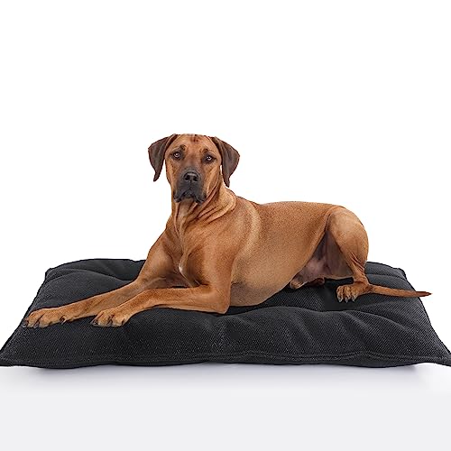 MABOZOO Unzerstörbares Hundebett, kaufest, strapazierfähiges Hundebett für aggressive Kauer, robust, waschbar, für große Hunde, schwarz, waschbar, Größe XL, 71,1 x 104,1 cm von MABOZOO