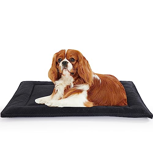 MABOZOO Unzerstörbares Hundebett für aggressive Kauer, robust, kaufest, für extra große Hunde, schwarz, langlebige Hundematte für Zwinger, maschinenwaschbar, 71,1 x 104,1 cm von MABOZOO