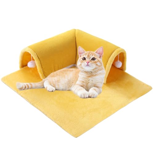 Plüsch-Katzen-Donut-Tunnelbett für Indoor-Katzen, weich, flauschig, Peekaboo-Katzenhöhle, flauschiger Katzentunnel mit 2 hängenden Katzenbällen, maschinenwaschbar, kleines Katzenbett, warmes und von MABOZOO