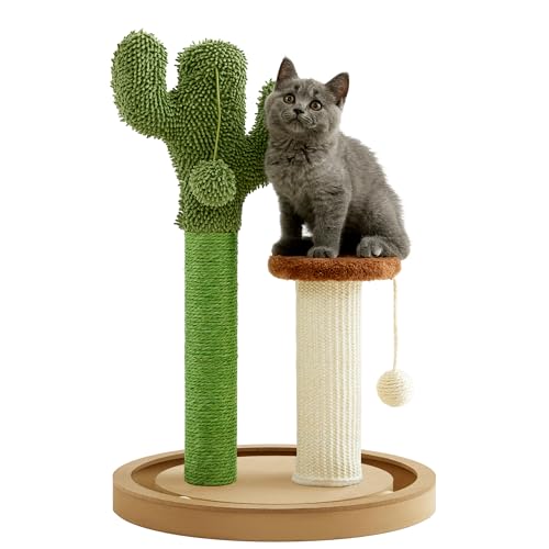 Made4Pets Kratzbaum, 55,1 cm, Kaktus-Kätzchen, Kratzbaum für Indoor-Katzen, Pilz-Kratzbaum mit Sisal-Kratzbaum, interaktive Spielbahnbälle mit stabilem Holzsockel für kleine Kätzchen von MADE 4 PETS