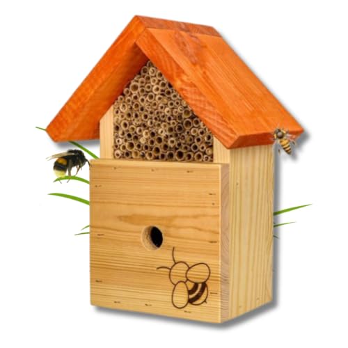 MADERY Bienenhotel aus wetterfestem Massiv-Holz - Insektenhotel zum Züchten von Bienen - hergestellt in EU - zum Aufhängen für Garten, Balkon und Terrasse - inkl. Schilfröhrchen. von MADERY