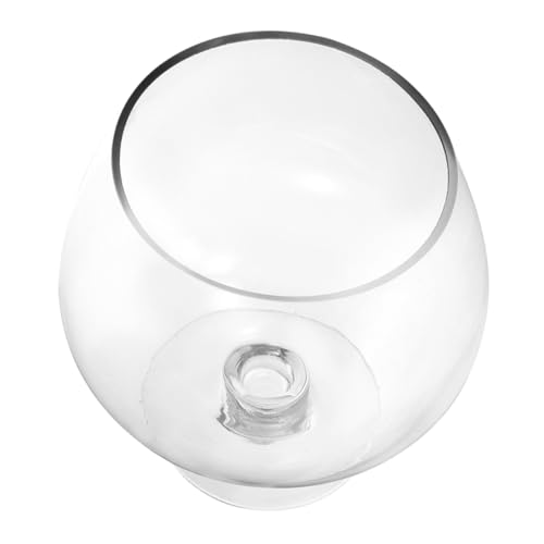 MAGICLULU Hydroponische Vase Einmachgläser Links Fischaquarium Kleiner Fischtank Fischschalen Für Tafelaufsätze Fischbecken Pflanzen Betta-fischschale Fischvase Transparent Glas von MAGICLULU