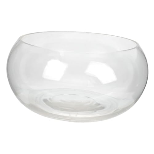 MAGICLULU Hydroponisches Bubble-Ball-vase Schildkrötenpanzer Mikro-landschaftstank Aquarienbecken Pflanzschale Für Narzissen Fischglasvase Lotustopf Gewöhnliches Glas Büro Goldfischglas von MAGICLULU