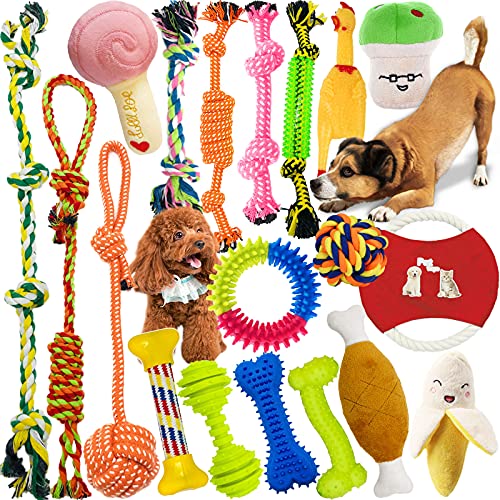 Hundespielzeug,MAISITOO 19 Pcs Seil Ball robuste Zähne Kauen langlebig Spielzeug Zahntraining Set Für Kleine große mittelgroßen Hund Interaktives Spielset Unzerstoerbar BaumwollknotenTau Tier von MAISITOO