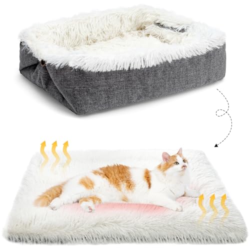 MAIYADUO Weiches Katzenbett Waschbar 60x45 cm Plüsch Haustierbett für Katzen und Kleine Hunde, 2 in 1 Katzenbett Schlafsack Warmes Haus Katzenkissen Katzendecke Waschbares Nest Bett für Katzen von MAIYADUO