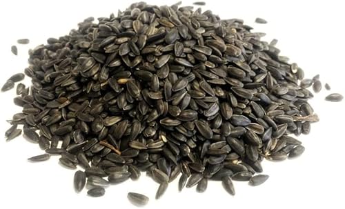 *Neu* Schwarze Sonnenblumenkerne, 750 g, Premium-Wildvogelfutter, MDW von MALTBYS' STORES 1904 LTD