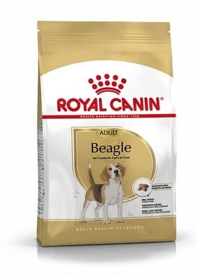 Royal Canin Beagle Trockenfutter für erwachsene Hunde, 12 kg von MALTBYS' STORES 1904 LTD