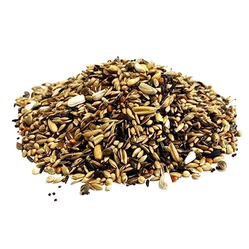 Stieglitz Mix (ehemals Wild Finch Mix) 200g Premium Wildvogelfutter Samen LGW von MALTBYS' STORES 1904 LTD