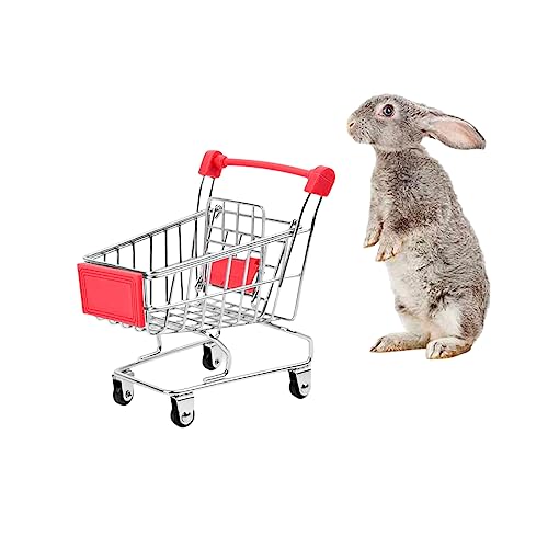 MANON ROSA Kaninchen Spielzeug Bunny Mini Einkaufswagen Kleintier Supermarkt Bollerwagen Igel Papagei Vogel Katzen Mäuse Niederländische Schweine Hamster Meerschweinchen Eidechse Chinchilla von MANON ROSA